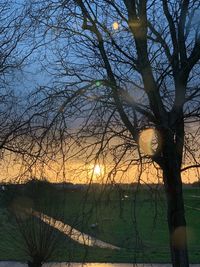 Bare trees on field against sky during sunset