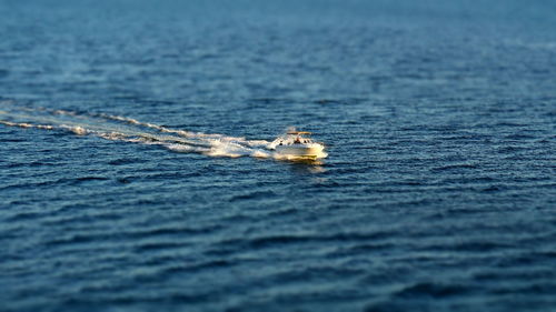 Boat sailing on sea