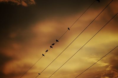 Low angle view of birds flying against sky