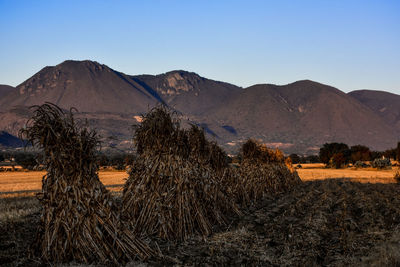 Scenic view of land and mountains against clear sky