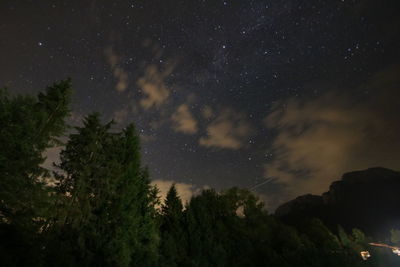 Low angle view of trees against sky at night