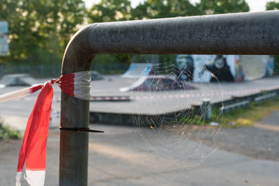 Close-up of spider web outdoors