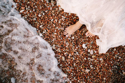 High angle view of pebbles on beach