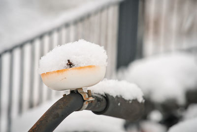 Close-up of ice cream on railing