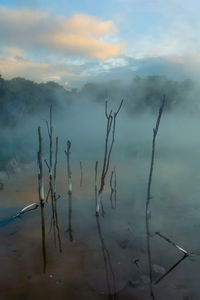 Kuirau park, rotorua - geothermal area in central rotorua