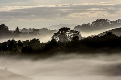 Misty landscape against the sky