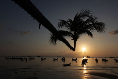 Silhouette palm tree at beach against sky during sunset