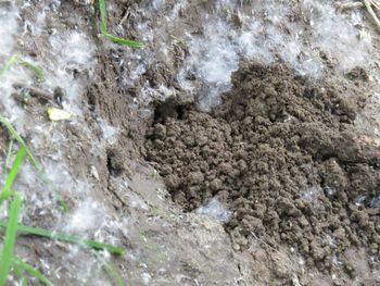 Close-up of rocks