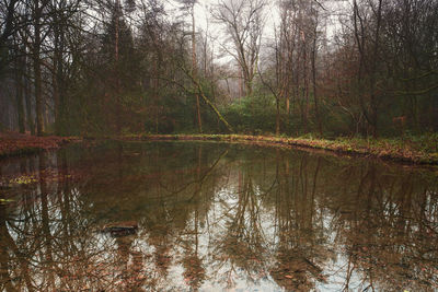 Reflection of trees in lake against sky