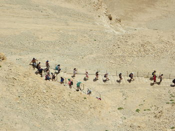 Directly above shot of people walking on arid landscape on sunny day