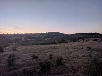 Scenic view of field against clear sky during sunset