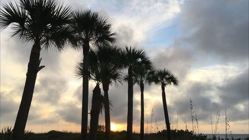 Low angle view of silhouette palm trees against sky