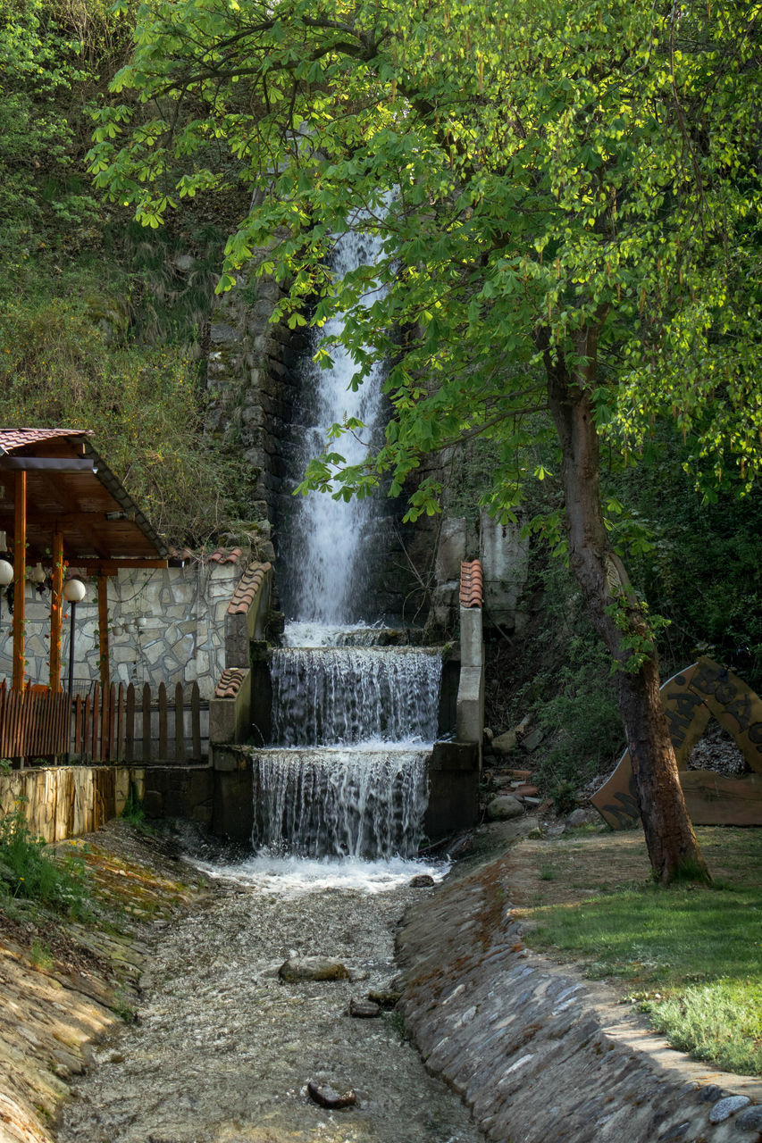 WATER FLOWING IN FOREST