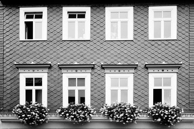 Low angle view of residential building