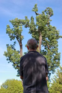 Rear view of senior man standing against tree