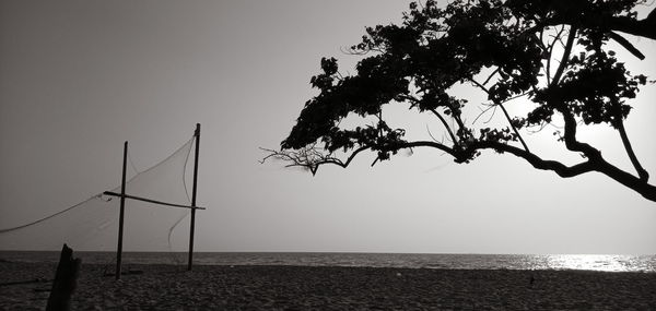 Silhouette tree by sea against clear sky