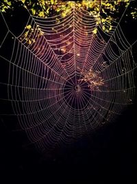 Full frame shot of tiled floor