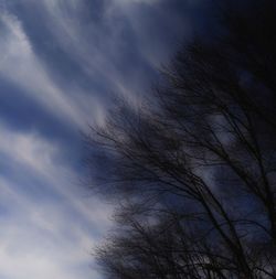 Low angle view of bare tree against sky