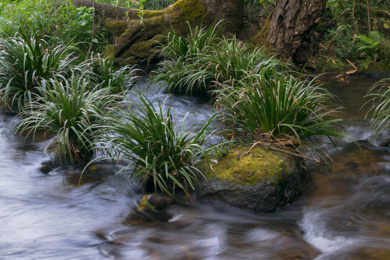 SCENIC VIEW OF WATERFALL