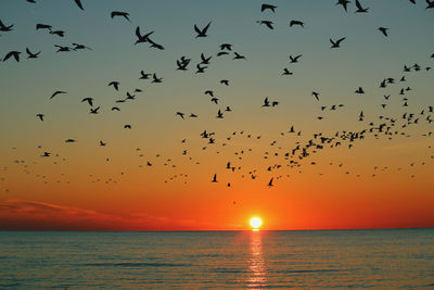 Scenic view of sea against sky during sunset