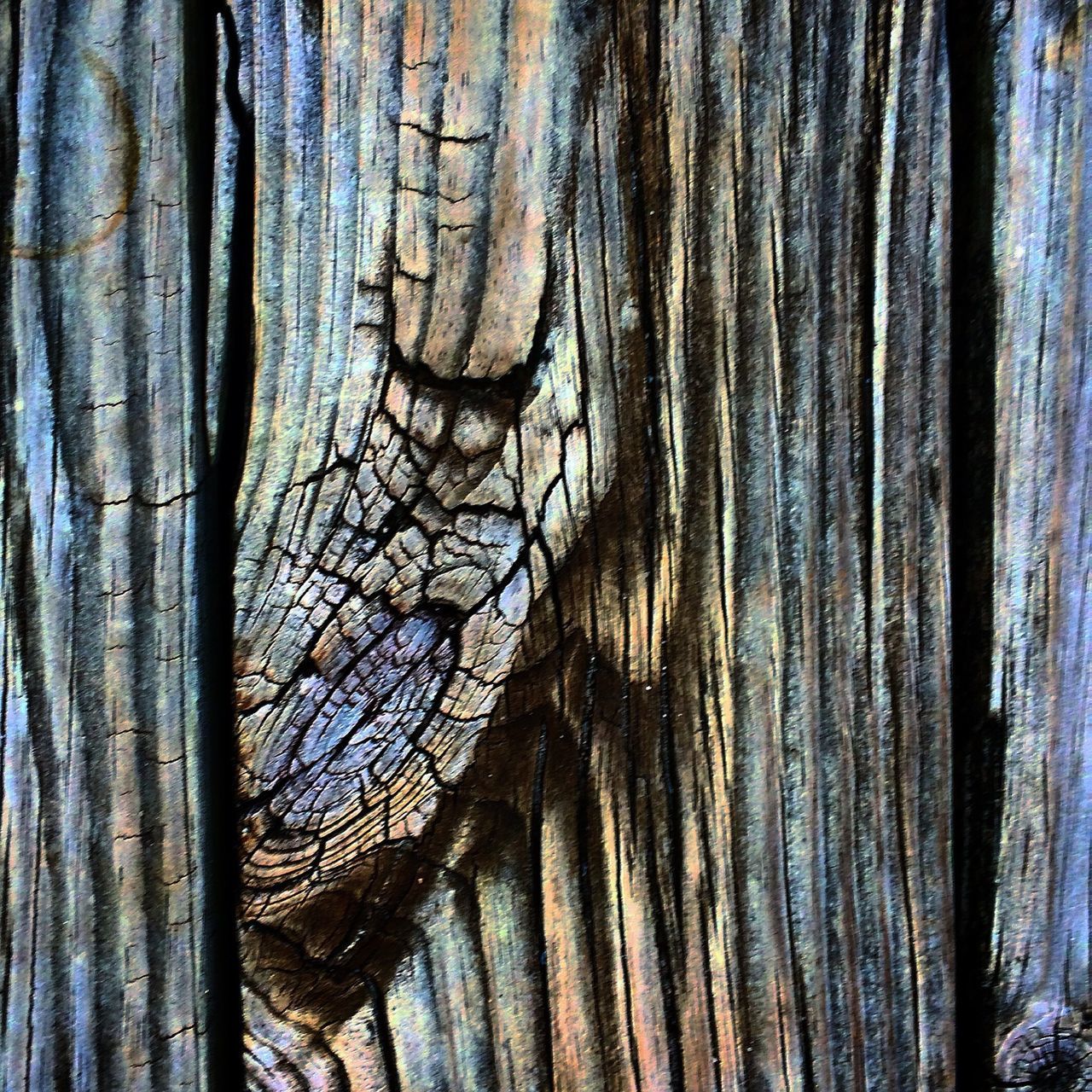 textured, tree trunk, full frame, wood - material, backgrounds, pattern, close-up, tree, wooden, wood, rough, bark, natural pattern, detail, no people, plank, day, weathered, part of, design