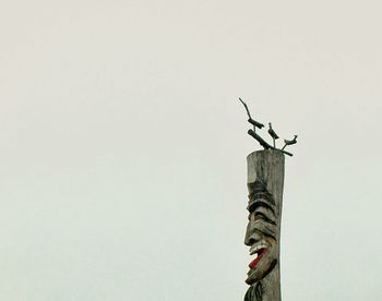 Low angle view of woman