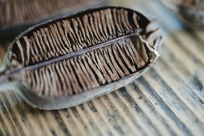 Close-up of halved plant pod on table