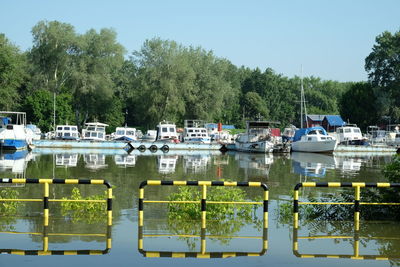 Boats moored at harbor