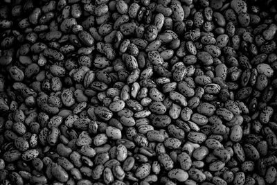 Full frame shot of bean pebbles