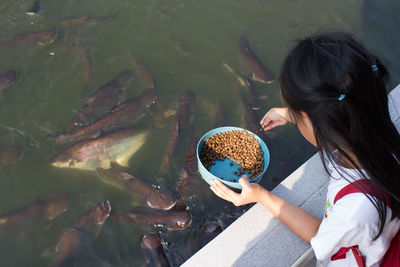 High angle view of girl feeding fish swimming in lake