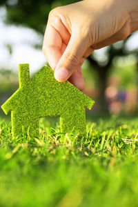 Close-up of hand holding grass