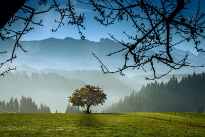 Scenic view of field against mountains