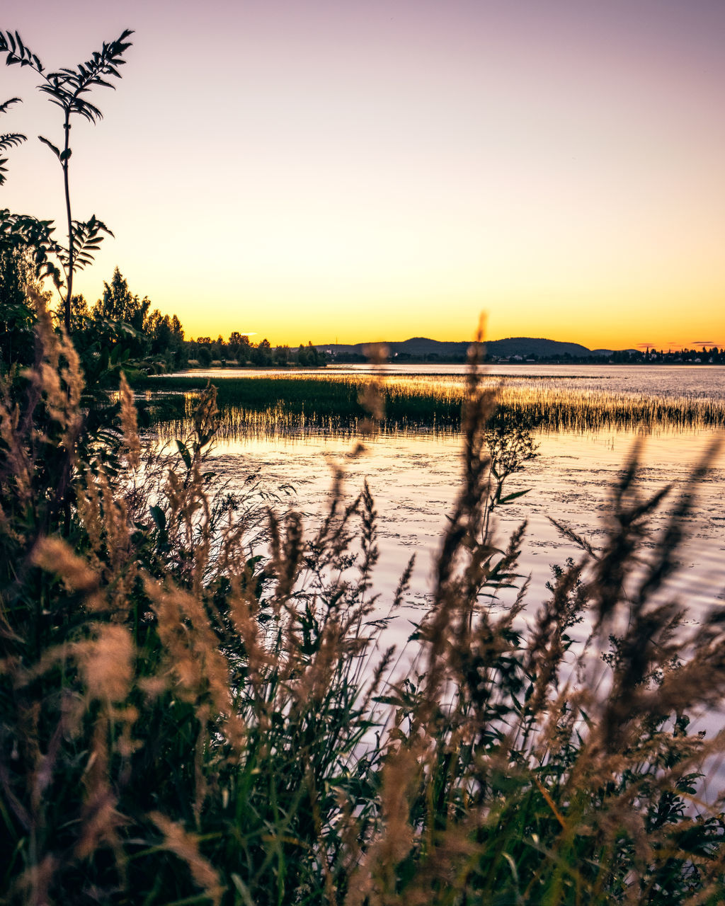 SCENIC VIEW OF LAKE AGAINST CLEAR SKY