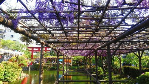 View of greenhouse