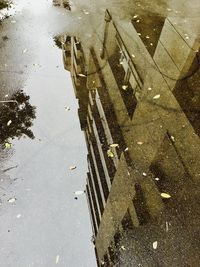Reflection of puddle in lake