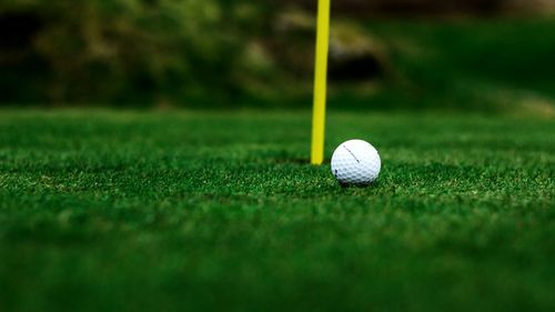 Surface level of golf ball on grass