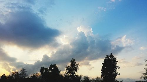 Low angle view of trees against cloudy sky