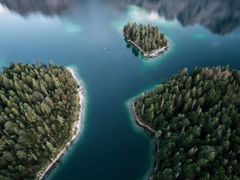 High angle view of trees by sea