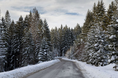 Road amidst trees against sky during winter