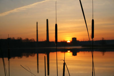 Scenic view of reed by river against sky during sunrise