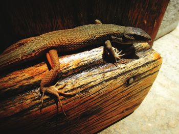 Close-up of wooden door