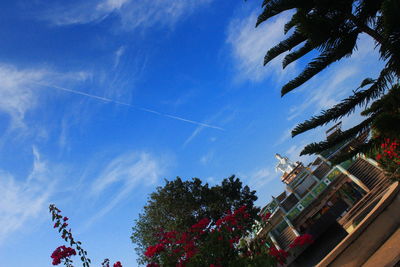 Low angle view of trees against blue sky