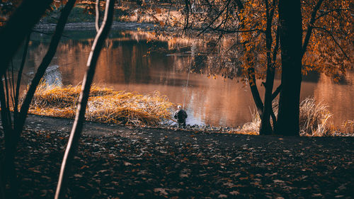 Scenic view of lake in forest during autumn