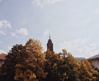 Low angle view of trees against sky