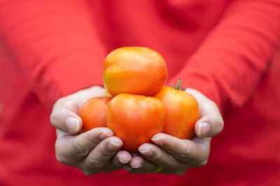 Close-up of hand holding orange