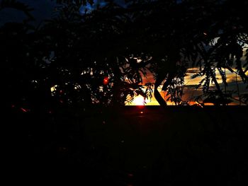 Silhouette trees against sky at night