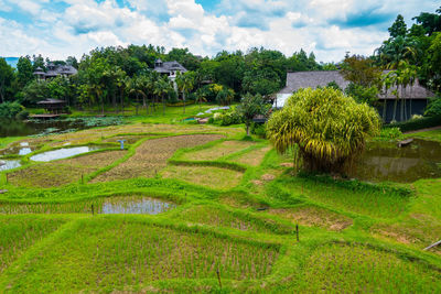 High angle view of green farm against cloudy sky