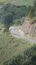 High angle view of road amidst trees