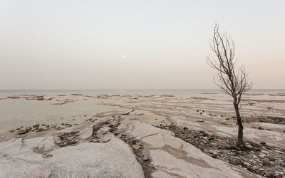 Scenic view of beach against clear sky