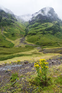 Scenic view of landscape and mountains against sky